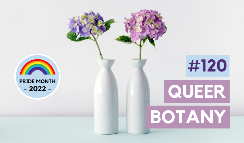 Queer Botany: Horticultural Symbolism Within the LGBTQ+ Community (Pride Month #6) (#120)